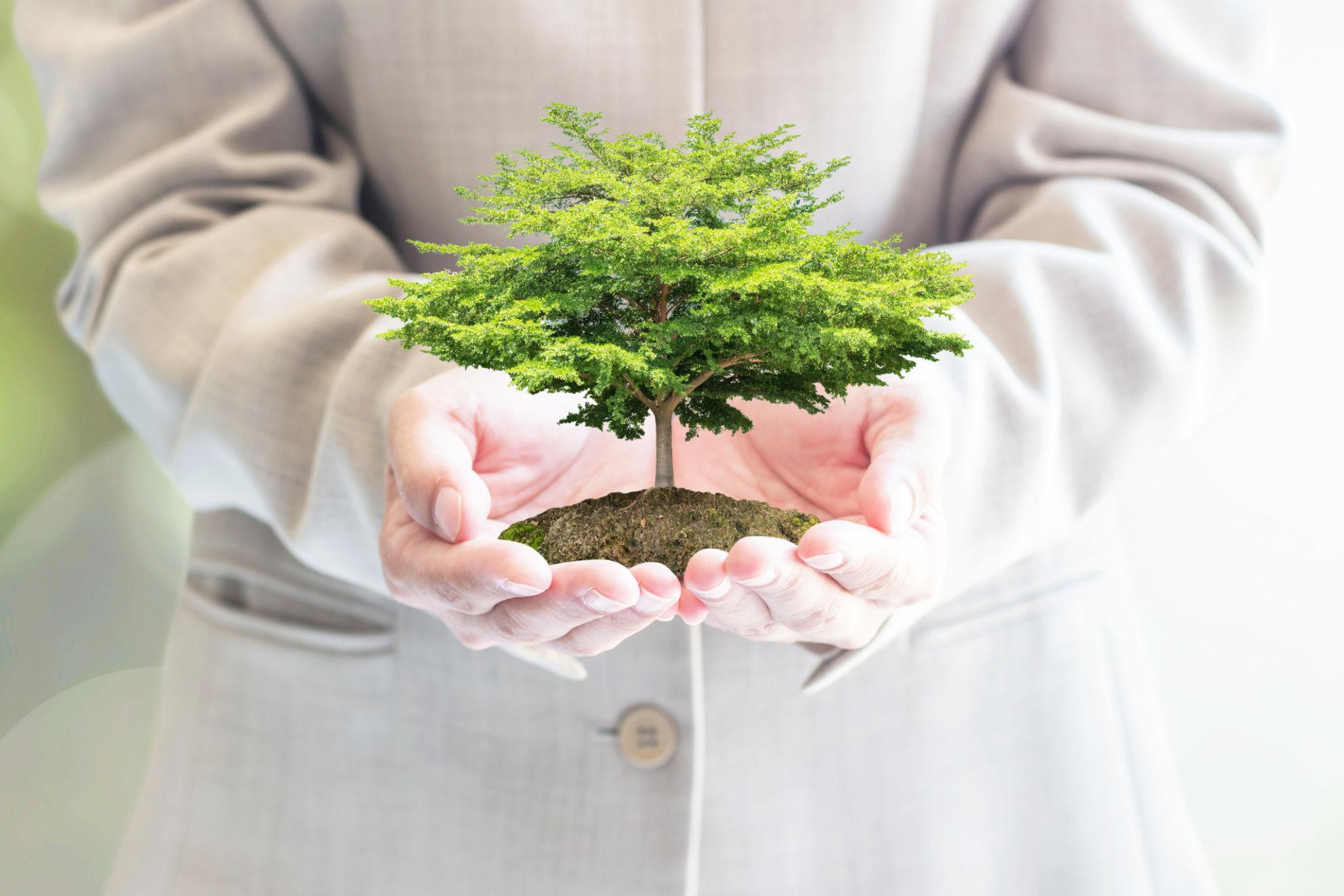 Sustainability Drive